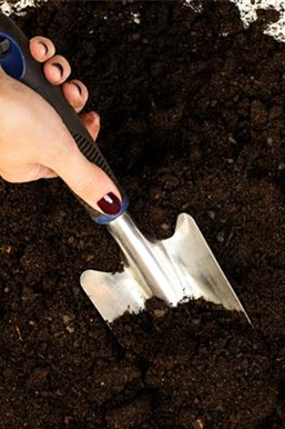 Allgemeine Gartenarbeit im März