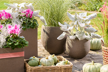 Der Herbst ist da!