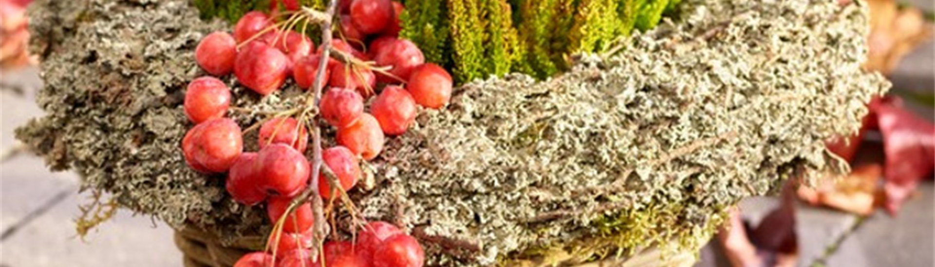 GS_Gräser_Heide-Korb_183801_BELLANDRIS_SAGAFLOR_AG_Web_unbekannt.jpg GS_Gräser_Heide-Korb_183801_BELLANDRIS_SAGAFLOR_AG_Web_unbekannt.jpg
