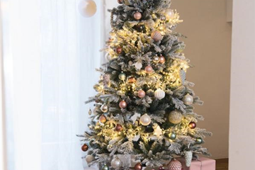 Oh Tannenbaum: Finde den Richtigen