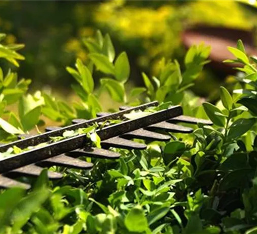 Allgemeine Gartenarbeit