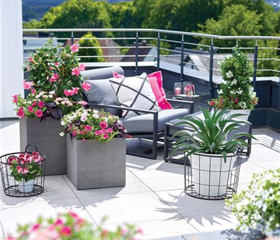 Bellandris_Kakteen_und_Sukkulenten2_1920x1018px.jpg Stimmung Balkonterrasse.jpg