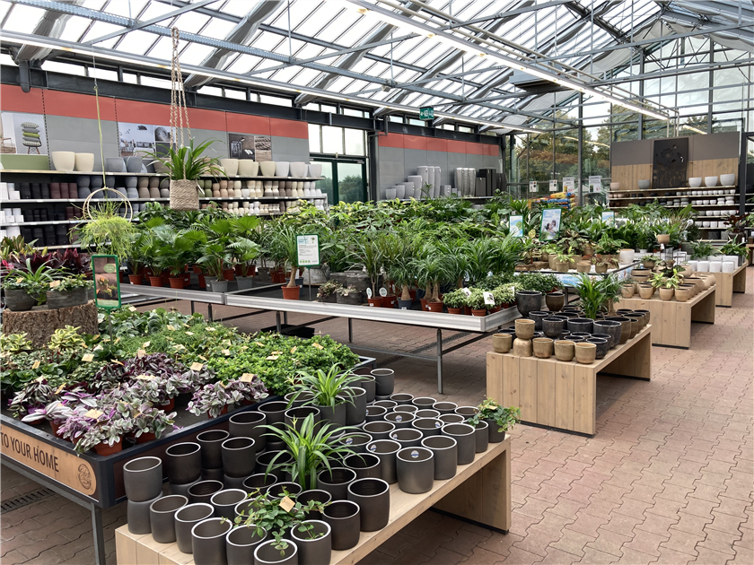 Zimmerpflanzen - Gartencenter Wrlein