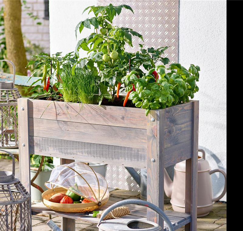 Hochbeete & Urban-Gardening