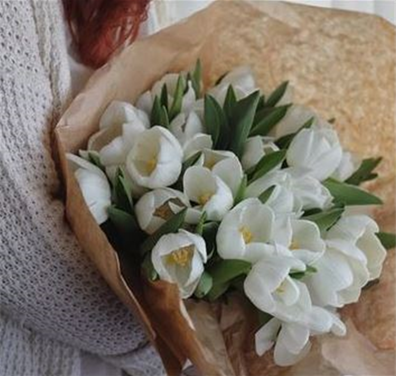 Einpackservice Einpackservice