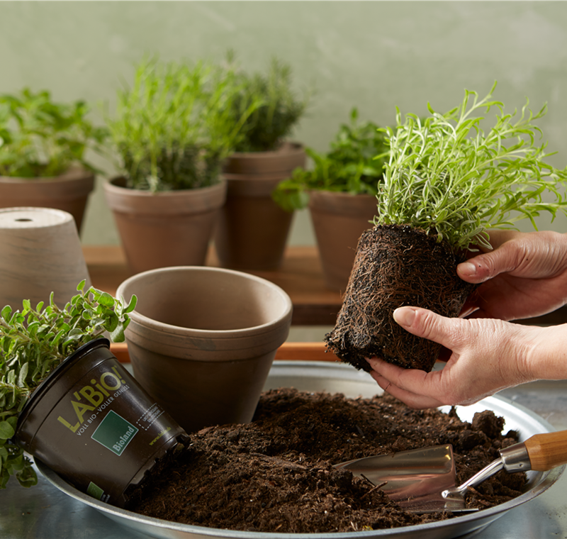 Fachberatung Fachberatung