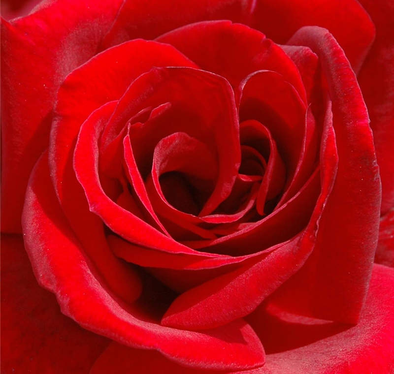 Geschenkgutschein Geschenkgutschein