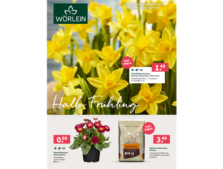 Titel Woerlein Beilage F1 2026.jpg