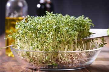 Vitaminbomben auf Brot