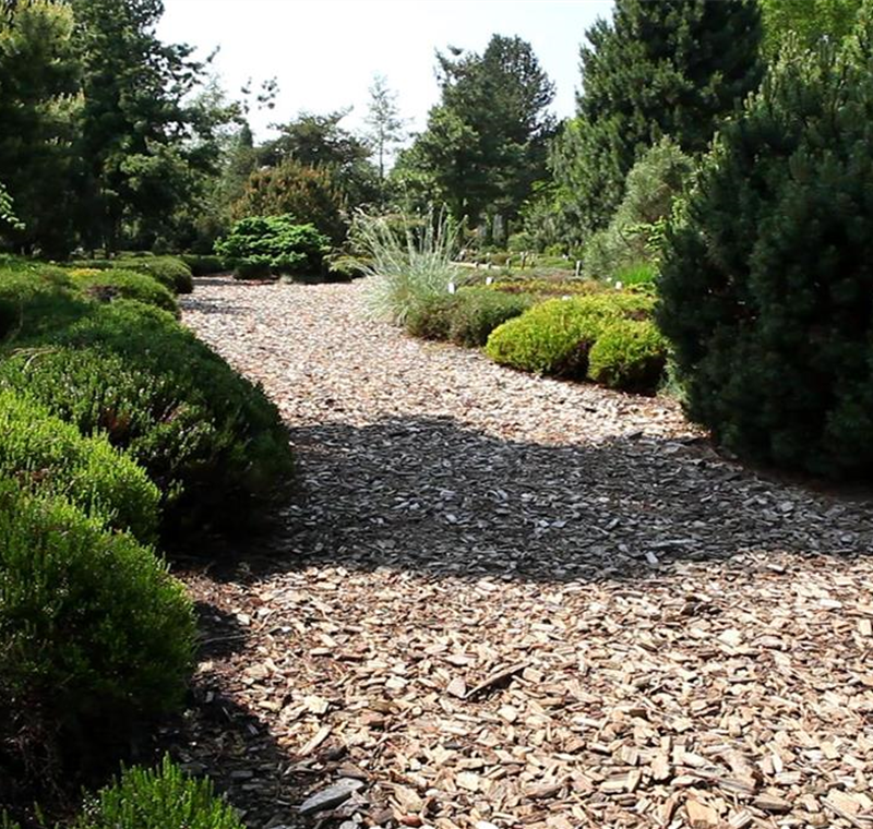 Rindenmulch Rindenmulch