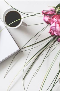 "New Style"-Valentine