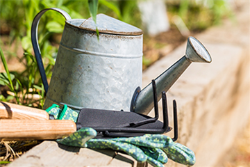 Allgemeine Gartenarbeit im August