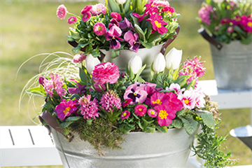 Terrasse & Balkon im April