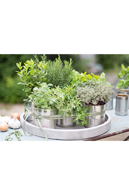 Gemüse-, Kräuter- und Obstgarten im April