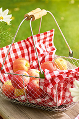 Gemüse-, Kräuter- und Obstgarten im September