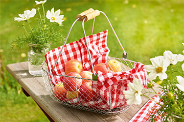 Gemüse-, Kräuter- und Obstgarten im September