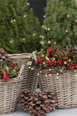 Terrasse & Balkon im Dezember