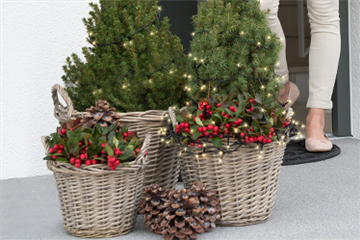 Terrasse & Balkon im Dezember