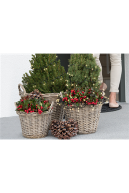 Terrasse & Balkon im Januar