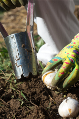 Ziergarten im Oktober