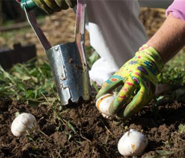 Ziergarten im Oktober