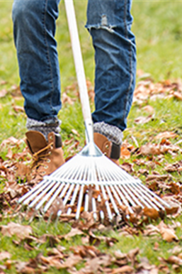 Allgemeine Gartenarbeit im Juli