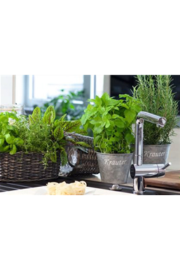 Gemüse-, Kräuter- und Obstgarten