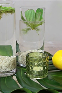 Erfrischende Wasserdeko