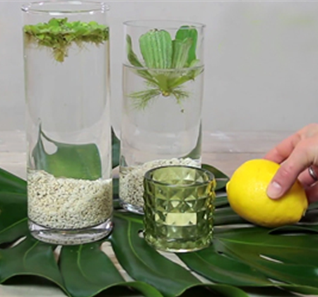 Erfrischende Wasserdeko