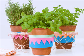 Fröhlich dekorierte Kräutertöpfe