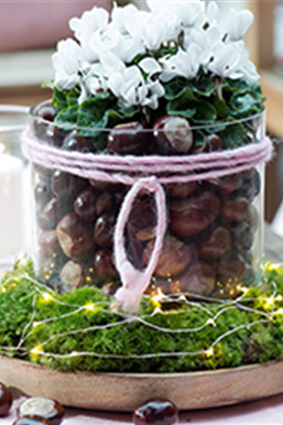 Herbstdeko mit Kastanien