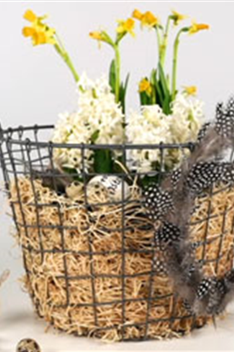Ostern im Korb