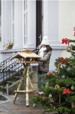 Allgemeine Gartenarbeit im Dezember