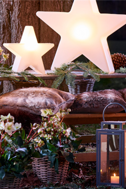 Winter-Gemütlichkeit vor der Haustür 