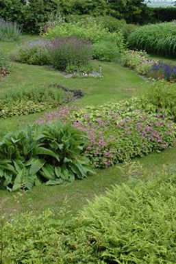 Allgemeine Gartenarbeit im April