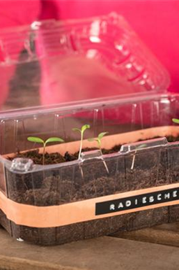 Allgemeine Gartenarbeit im September