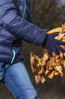 Allgemeine Gartenarbeit im Oktober