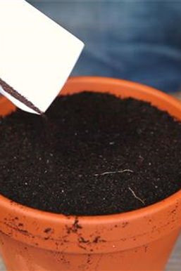 Ziergarten im Januar