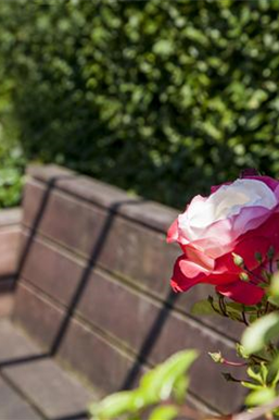 Terrasse & Balkon im März