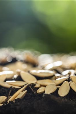 Terrasse & Balkon im Februar