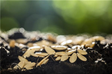 Terrasse & Balkon im Februar