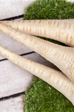 Gemüse-, Kräuter- und Obstgarten im November