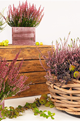 DIY Herbstlicher Korb