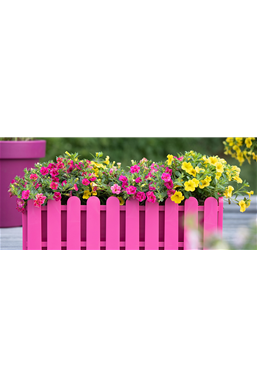 Balkonkästen bepflanzen 