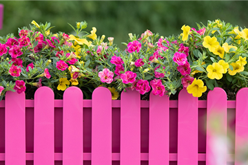 Balkonkästen bepflanzen 