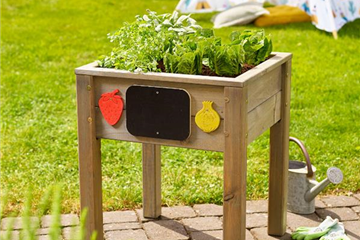 Pflanztipps im Hochbeet