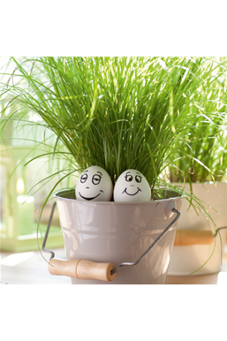 Ostern liegt in der Luft